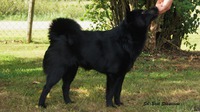 Vinda